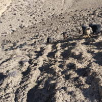 सजिलो छैन कला ग्यालरी थेग्न