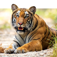 निर्वाचन खर्च विवरण बुझाउन आग्रह