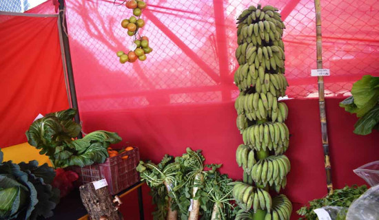 बेनीमा कृषि मेला