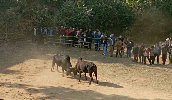 कर छुटको सुविधा चैत मसान्तसम्म