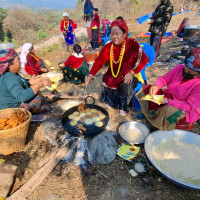 जङ्गली हात्ती गाउँमा पस्दा तीन घरमा क्षति