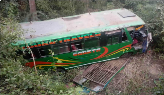 बसको ठक्करबाट एक जनाको मृत्यु : चार जना घाइते