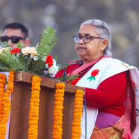 अर्बको एनपिएल