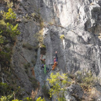 रचनात्मक झिल्कादेखि व्यावसायिक उद्यमसम्म