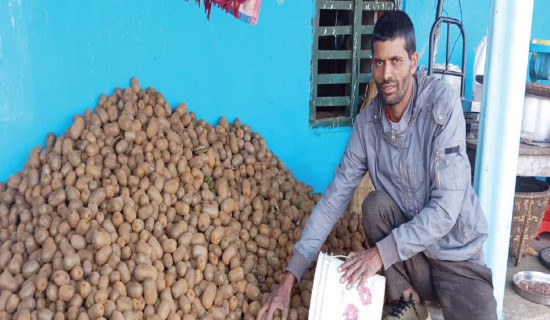 शिक्षकको लोभलाग्दो कृषिकर्म