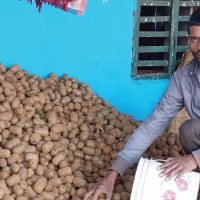 सङ्कटमा स्वास्थ्य बिमा कार्यक्रम