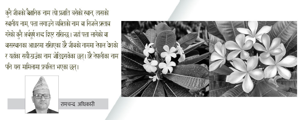 नेपाली नाम नै वैज्ञानिक नाम