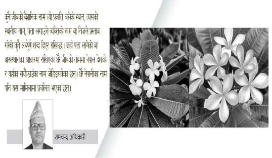 नेपाली नाम नै वैज्ञानिक नाम