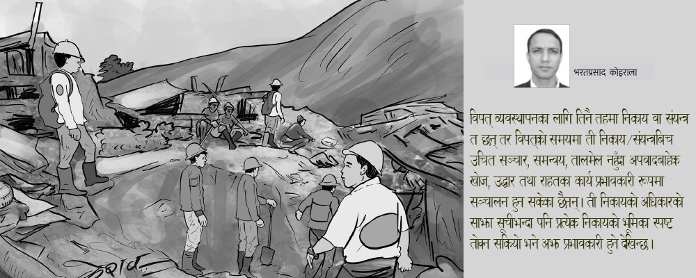 विपत् न्यूनीकरणका प्रयास