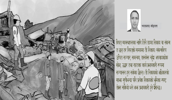 विपत् न्यूनीकरणका प्रयास