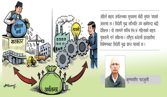 अर्थतन्त्रमा निजी क्षेत्र