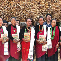 लम्बिनी प्रदेशमा आज सार्वजनिक बिदा