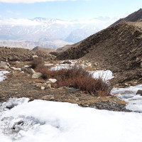 शव व्यवस्थापन गर्न बन्यो कार्ययोजना, बीमा भुक्तानीमा छैन समस्या