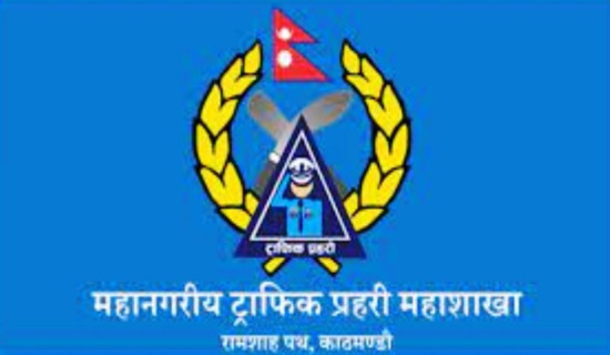 'पार्टी विधानले महाधिवेशन गर्ने अधिकार केन्द्रीय समितिलाई मात्र दिएको छ'