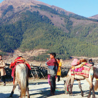 निर्वाचन अधिकृतको कार्यालय स्थापना