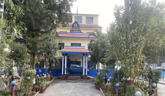 प्रथम माघेमेला गोल्ड कप : लालिगुराँस र झापा भिड्दै