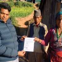 डोल्पामा जेठ ११ गतेदेखि यार्सा सङ्कलन खुला गरिने