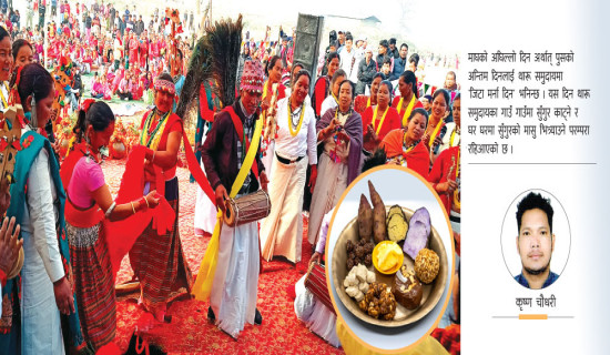 जनप्रतिनिधि छनोटका मापदण्ड