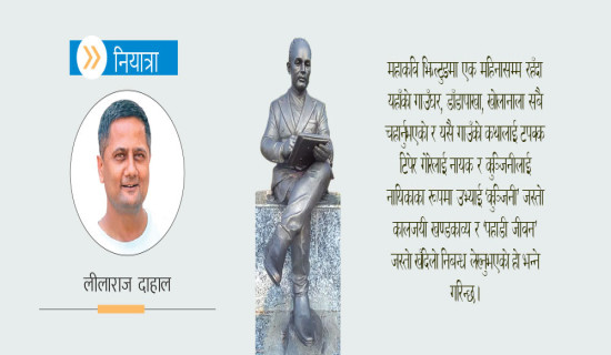 उपत्यकामा ज्याकारान्डाको सुन्दरता (फोटो फिचर)