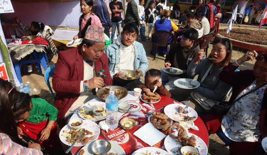 विद्युतीय भ्यान र मोटरसाइकल एक आपसमा ठोक्किँदा दुई जनाको मृत्यु