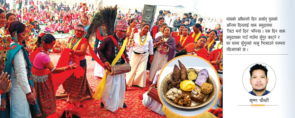 माघपर्व थारू बस्तीमा गुन्जिँदै सखिया