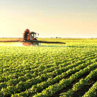 अरुण तेस्रो आयोजनाबाट चार सय परिवारले मुआब्जा पाउने