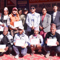 पाकिस्तानको पन्जाबमा भीषण सडक दुर्घटना, १४ जनाको मृत्यु