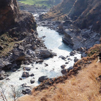 ७६ जिल्लामा फैलियो डेंगु सङ्क्रमण : कास्कीमा सबैभन्दा बढी