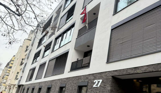 उपत्यकामा एनपिएल ट्रफी टुर (फोटो फिचर)