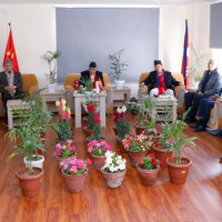 अपाङ्गतामैत्री छैनन् दलकै कार्यालय