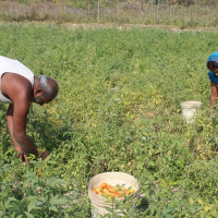 सुरुङमार्ग चलाउन दस आवेदन