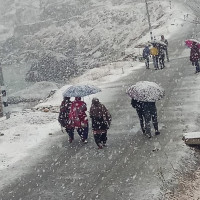 खानामा प्रिजर्भेटिभ्स कत्तिको सुरक्षित