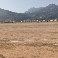 डिकोलाई मन परेन पेले