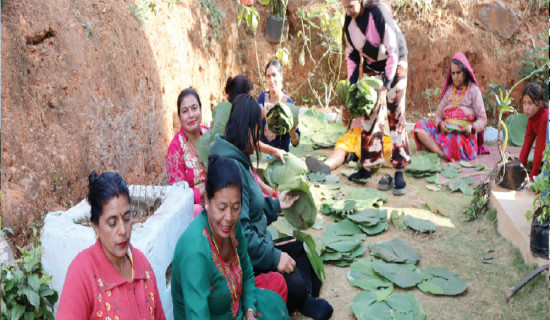 दुनाटपरी गाँस्न भ्याइनभ्याइ