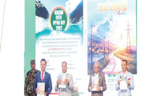 नीतिगत सहजीकरण खोज्दै ऊर्जा उद्यमी