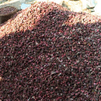 व्यवस्थित पर्यटक सूचना केन्द्र सञ्चालनमा