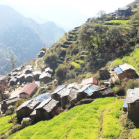 राष्ट्रिय एकता बलियो बनाउने पर्व