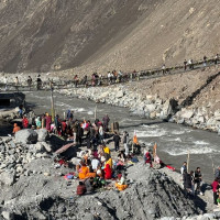 तारेको माछा, टोकरीमा व्यापार