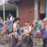 तारेको माछा, टोकरीमा व्यापार