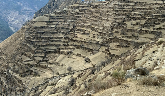 हिमपात नहुँदा मुस्ताङका किसान चिन्तित