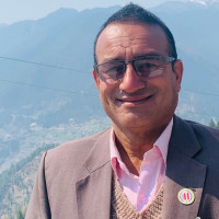 छठमा बढ्यो केराको व्यापार