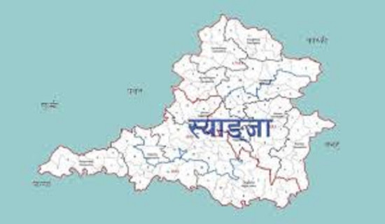 स्याङ्जामा मुख्य चार दलले टुङ्ग्यायो उम्मेदवार