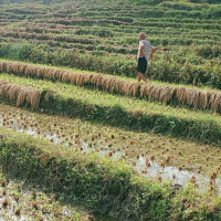 आजको राशिफल