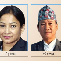 विधेयक पारित गर्दा मत विभाजनको अभ्यास