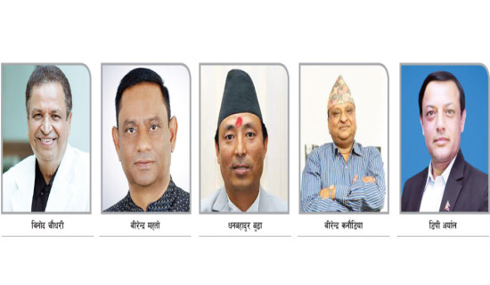 निर्वाचनमा होमिए डेढ दर्जन व्यवसायी