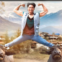 बिचैमा पद छाडेर नयाँ मतको खोजी