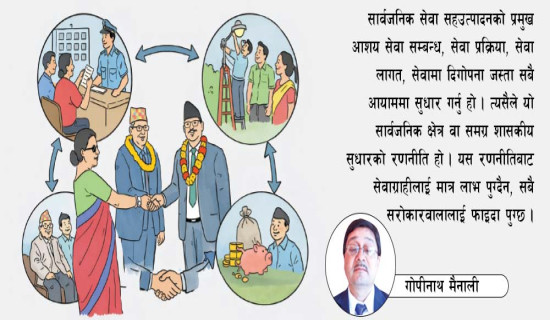 सार्वजनिक सेवाको सहव्यवस्थापन