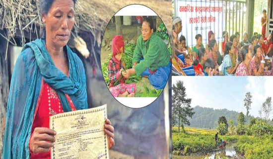 त्रिशूलीमा बेपत्ताको खोजीमा बिहानैदेखि जुटे गोताखोर सहितको टोली