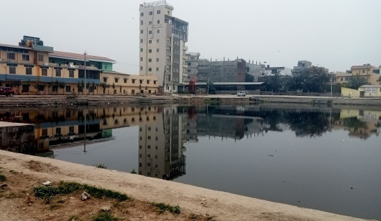 संरक्षण अभावले सङ्कटमा ऐतिहासिक पानी पोखरी