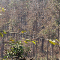 यस्तो छ आजका लागि विदेशी मुद्राको विनिमयदर